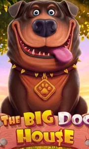 The Big Dog House