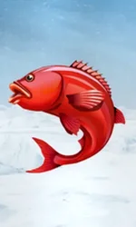 Ice Fishing