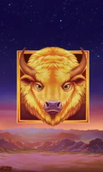 Buffalo's Sun 2